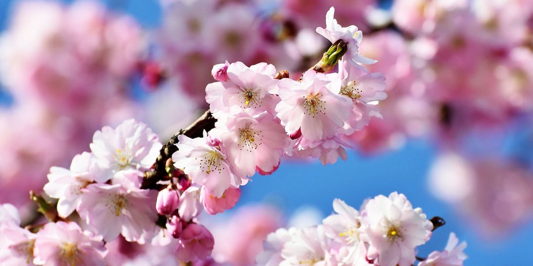 Haus zum Fels | „Haus zum Fels“ - Gepflegtes Leben in christlicher Wärme.