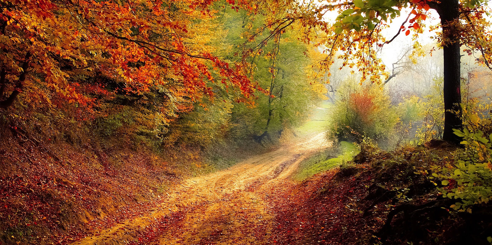 Titles2019_Autumn01